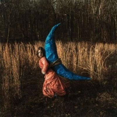 Mutual Horse - Holly Miranda, Vinyl