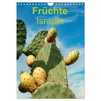 Früchte Israels (Wandkalender 2026 DIN A4 hoch), CALVENDO Monatskalender