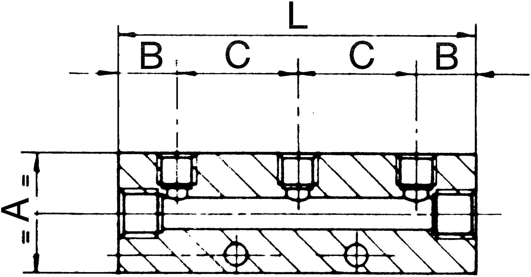 Riegler Verteilerleiste, Abgänge einseitig, Eingang 2x1/8, Ausgang 4xM5 (VT 15504)