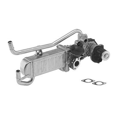 Borgwarner AGR-Modul [Hersteller-Nr. 710863D] für Skoda, Seat, VW