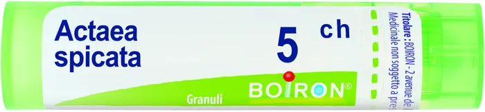 BOIRON Srl ACTAEA SPICATA 5CH 80GR 4g