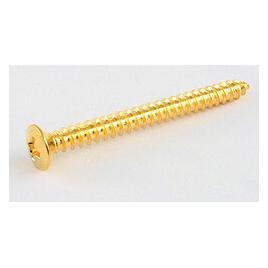 AllParts AP GS 0005-002 Schrauben f. Halspl. gold (47163754)