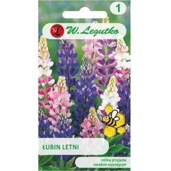 Sommerlupine Mischung