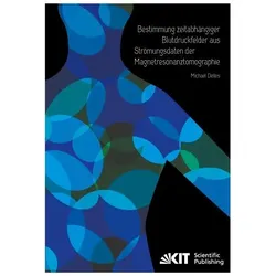 Bestimmung zeitabhängiger Blutdruckfelder aus Strömungsdaten der Magnetresonanztomographie, Fachbücher von Michael Delles