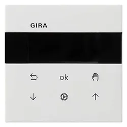 Gira, Zeitschaltuhr, Bedienaufsatz rws 5366112