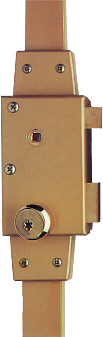 Mécanisme CAVITH 4572 A2P* verticale fouillot or droite ISEO 9704VFCA01.5