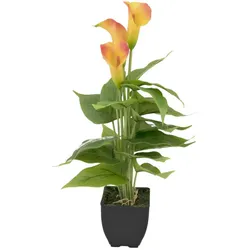 EUROPALMS Calla mini, Kunstpflanze, gelb orange, 43cm
