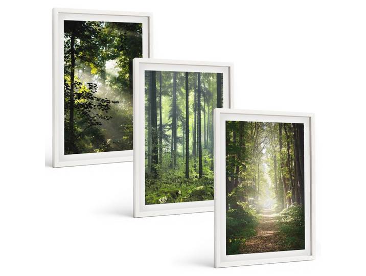 BILDER SET 3er Set - 40x60 cm Weißer Rahmen - Grüne Wälder mit Lichtstrahlen