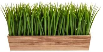 Nearly Natural "20"" Vanilla Grass Artificial Plant in Decorative Planter - 3.25"""
