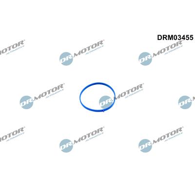 DR.MOTOR AUTOMOTIVE DRM03455 für Ford