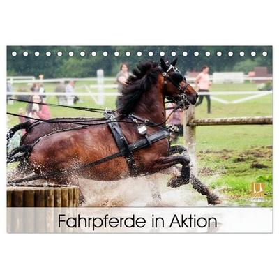 Fahrpferde in Aktion (Tischkalender 2027 DIN A5 quer), CALVENDO Monatskalender