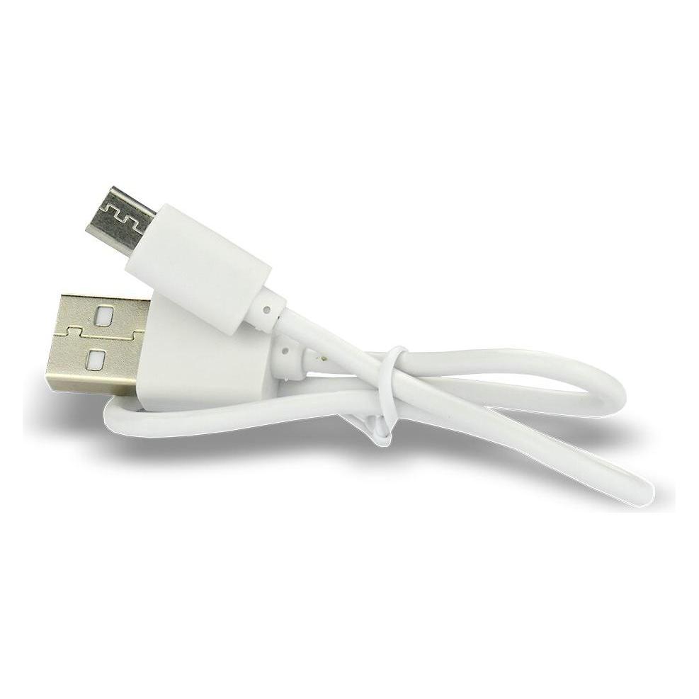 Everactive Professional Lithium (1 Stk., 18650, 3500 mAh) (HGP20933)