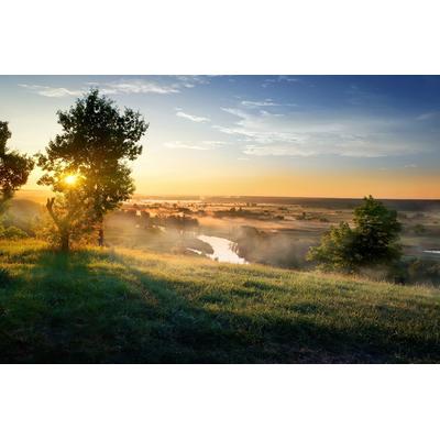 Fototapete PAPERMOON "Landschaft", bunt, B:2,5m L:1,86m, Vlies, Tapeten