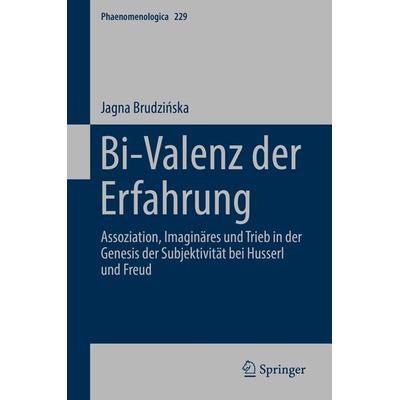 Bi-Valenz der Erfahrung, Gebundene Ausgabe von Jagna Brudzińska, Springer, 978-3-030-17928-1