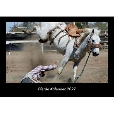 Pferde Kalender 2027 Fotokalender DIN A3