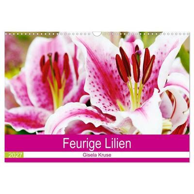Feurige Lilien (Wandkalender 2027 DIN A3 quer), CALVENDO Monatskalender