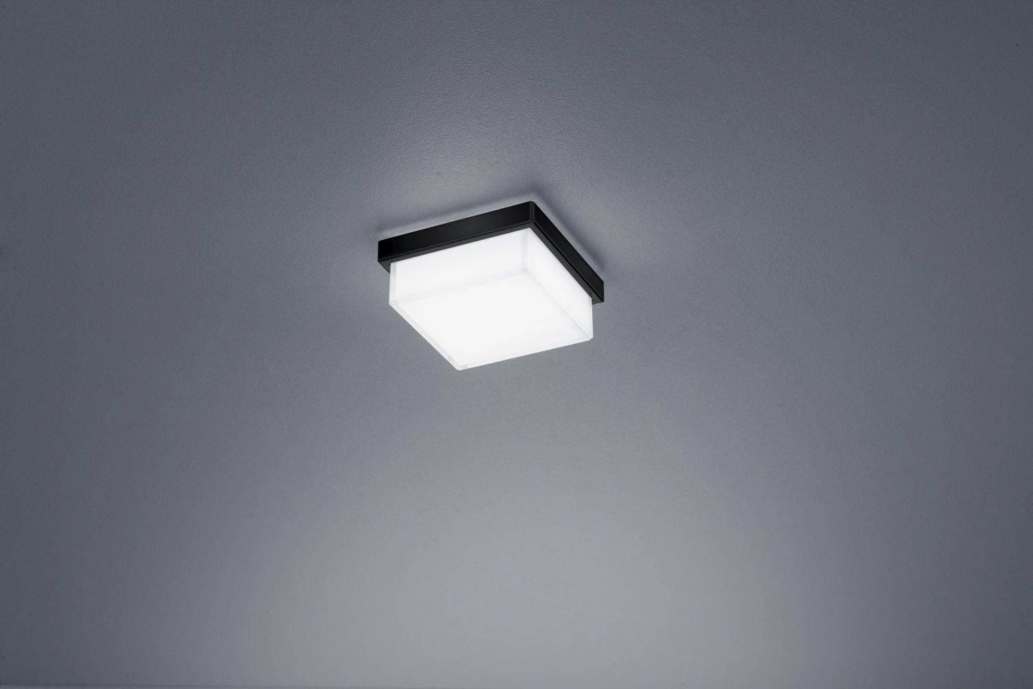 Helestra LED-Deckenleuchte COSI 10x10cm schwarz 15/1905.22 4022671108492