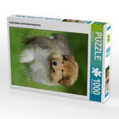 CALVENDO Puzzle Collie Welpe auf Entdeckungsreise 1000 Teile Lege-Größe 48 x 64 cm Foto-Puzzle Bild von Sigrid Starick
