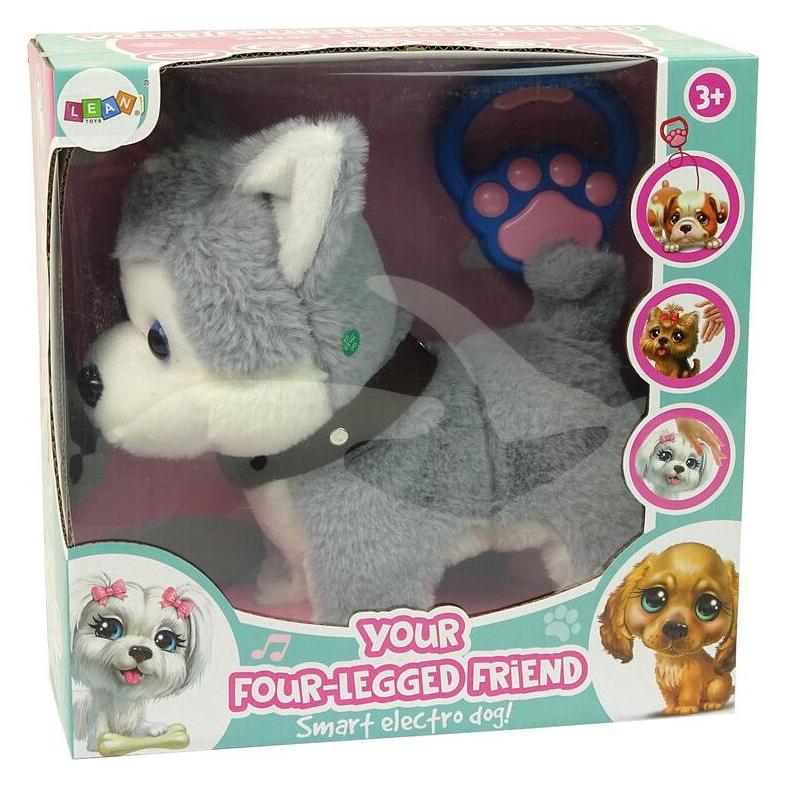 Lean Toys Plüschhunde Interaktiver, pädagogischer Kinderreimspaziergang (13 cm) (36623697)