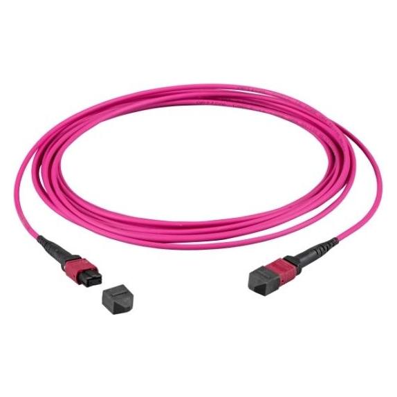 EFB Elektronik MTP-F/MTP-F 72-Fasermatrix Patchkabel OM4 LSZH erika-violett, Code A, 15m (15 m) (MTPF72MTPFOM4-15-A)