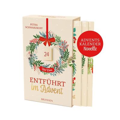 Entführt im Advent - kein Krimi: Adventskalendernovelle