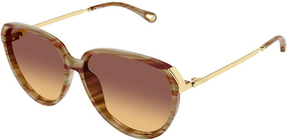 Chloé  - CH0406S 004 Havana - Lunettes de soleil