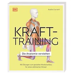 Krafttraining – Die Anatomie verstehen