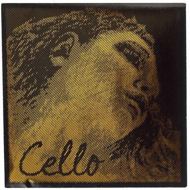 Pirastro Evah Pirazzi Gold Cello D Str.
