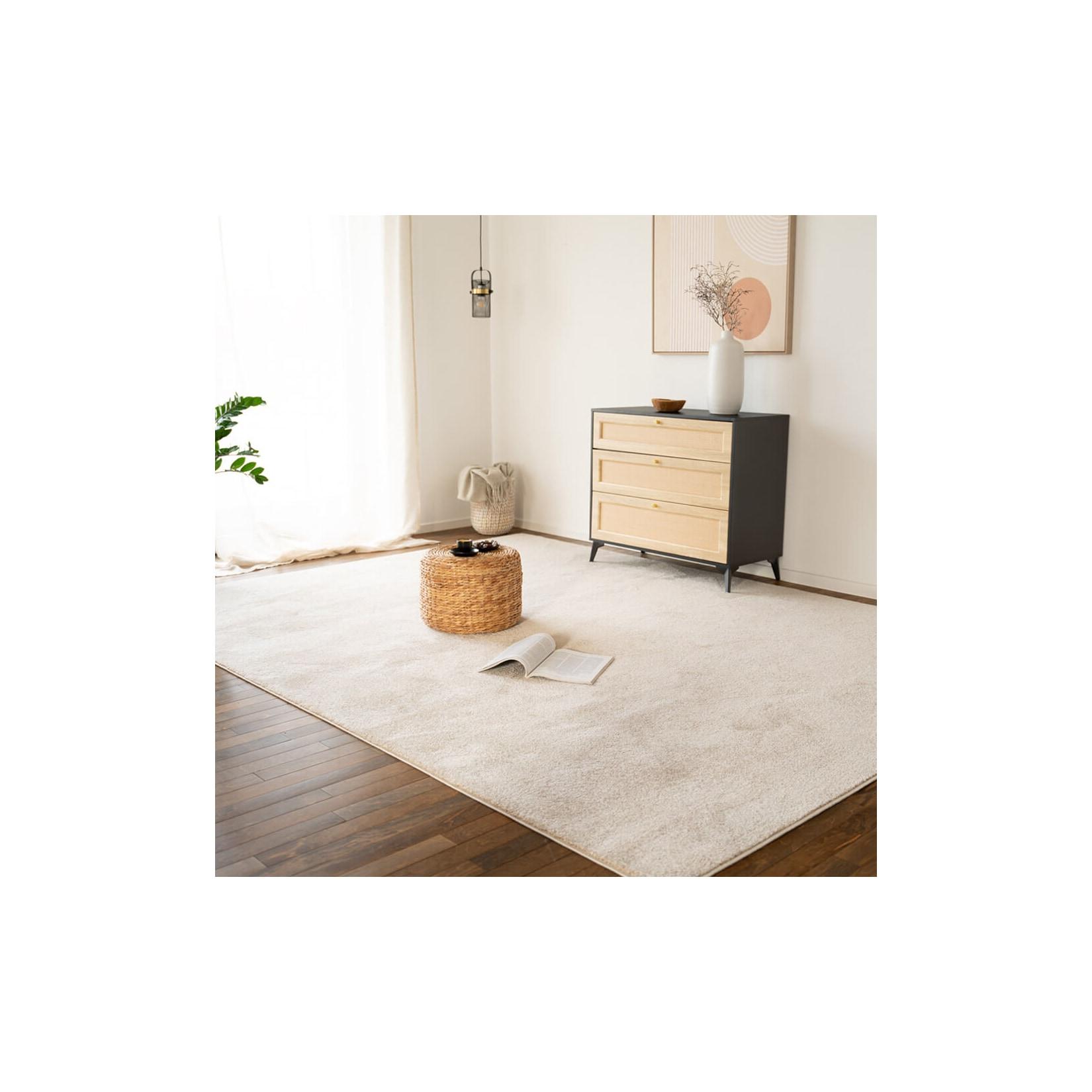 HOME DELUXE Kurzflor Teppich FOFI - 110 x 60 cm Grau