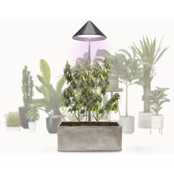 VENSO LED Pflanzenlampe Vollspektrum CANNA SUNLiTE, 30W Parus Grow Light, Ausziehbarer Teleskopstab bis 170cm, Ideal für 1-2 Cannabis Pflanzen, Indoor Anzucht, 4000K, IP54, EU-Stecker