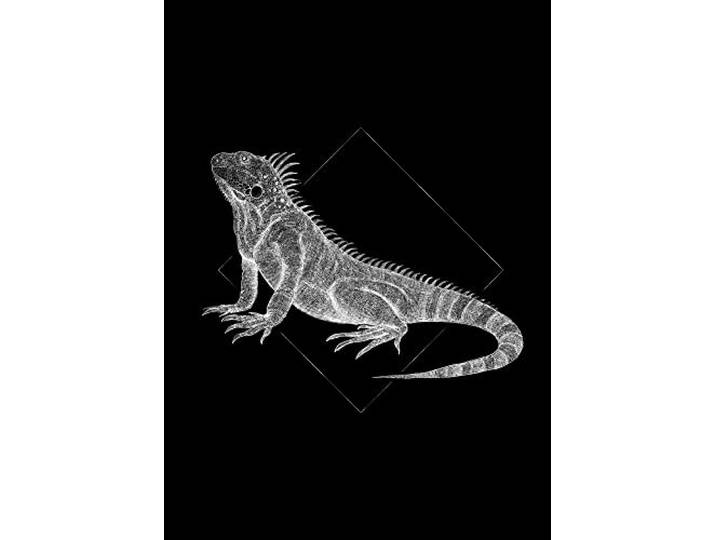 Komar Iguana Black – Taille : 50 x 70 cm Impression sur toile (sans cadre) – Pure Boutique