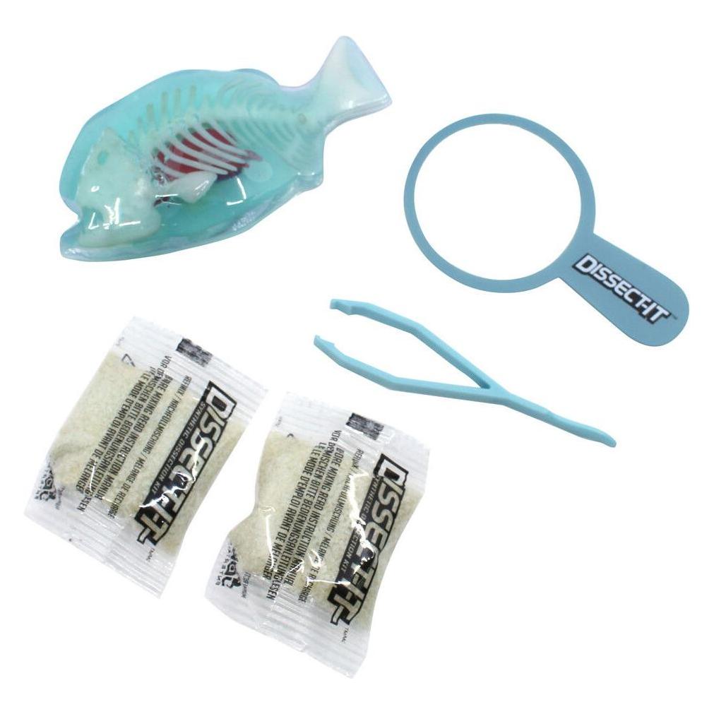 Sensory Compunds Sensory Compounds - Piranha In Giftbox (12-38086) (12-38086)