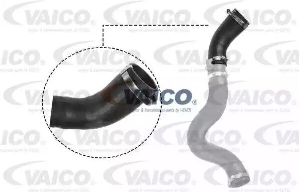 VAICO V25-1046 Charger intake hose