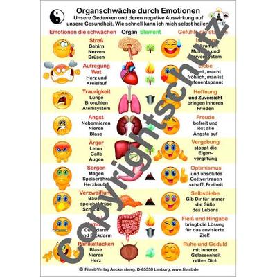 Organschwäche durch Emotionen, Zubehör von Tanja Aeckersberg, Aeckersberg, Ingrid, 978-3-940832-63-4