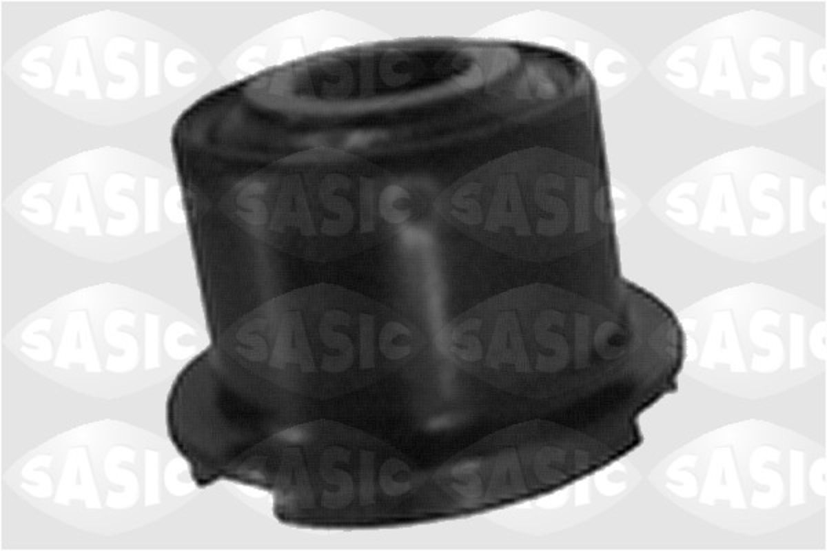 Sasic Cuscinetto, supporto assale 1315555