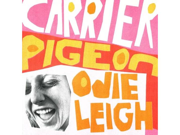 Carrier Pigeon