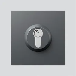 Siedle&Söhne Schloss-Modul SM 611-01 DG
