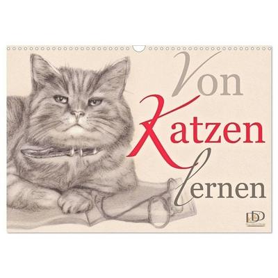 Von Katzen lernen (Wandkalender 2027 DIN A3 quer), CALVENDO Monatskalender
