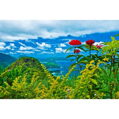 Fototapete PAPERMOON "INSEL-SEYCHELLEN BLUMEN KÜSTE GEBIRGE MEER PANORAMA", bunt, B:2,5m L:1,86m, Vlies, Tapeten