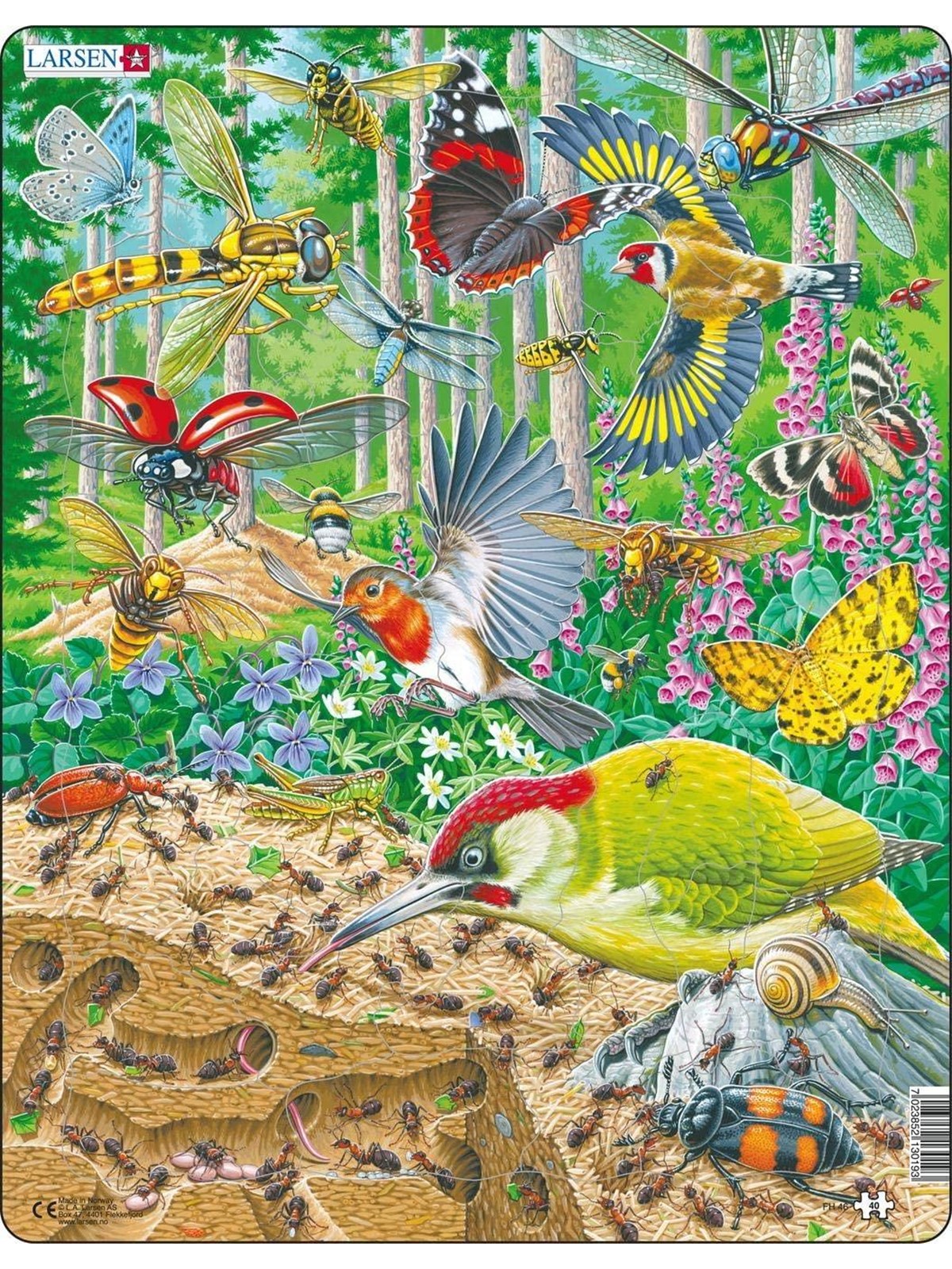 Larsen Puzzles Bustling life on the forest floor