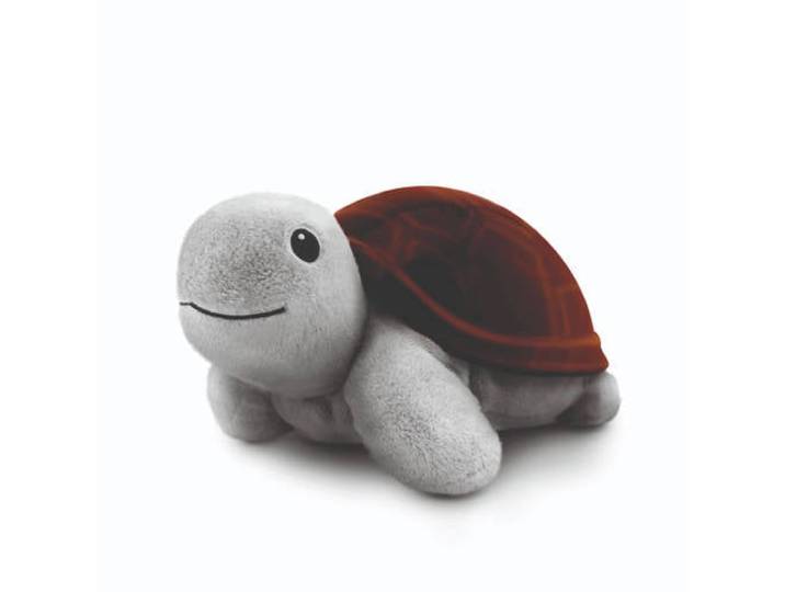Zazu Sunset Projector Tim the turtle