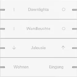 Gira Wippenset 4fach individuell für Tastsensor4 TS4 Reinweiß matt lackiert 5034927