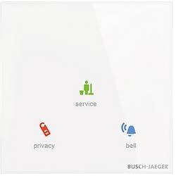 Busch-Jaeger 2CKA006300A1569 Aussenfühler TA/U3.1.11-CG