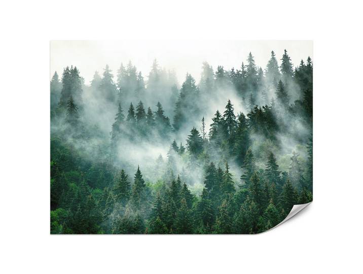 Muralo Fototapete für Küche Nadelbäume Nebelwald Mystisch Grün 300x210, Grün, Grau, Papier, Baum/Pflanze/Natur, Rechteckig, 300x210 cm, Tapeten & Wandverkleidungen, Fototapeten