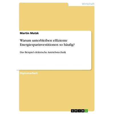 Warum unterbleiben effiziente Energiesparinvestitionen so häufig?, Taschenbuch von Martin Matzk, GRIN, 978-3-656-09593-4