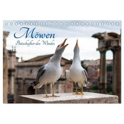 Möwen- Botschafter des Windes (Tischkalender 2027 DIN A5 quer), CALVENDO Monatskalender