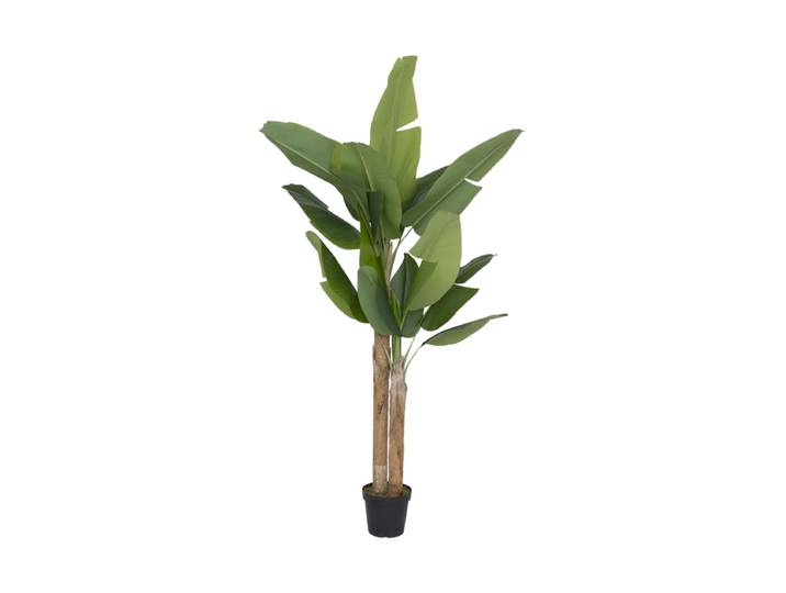 Lebensechte Kunstpflanze „Banana Tree“, verschiedene Grössen Grün Baq Design
