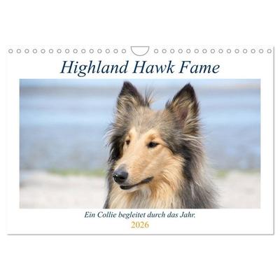 Highland Hawk Fame - Ein Collie begleitet durch das Jahr (Wandkalender 2026 DIN A4 quer), CALVENDO Monatskalender