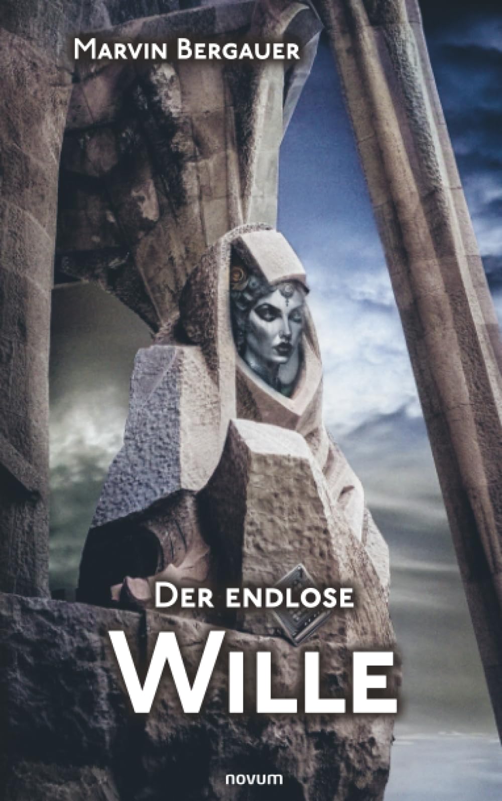 Marvin Bergauer - Der endlose Wille - Preis vom 30.09.2026 09:01:18 h