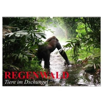 Regenwald • Tiere im Dschungel (Wandkalender 2026 DIN A2 quer), CALVENDO Monatskalender